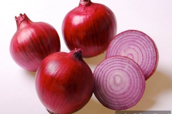 Фишинговые ссылки гидра hydra ssylka onion com